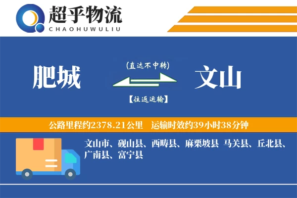 肥城到富宁县物流公司