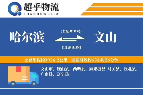 哈尔滨到麻栗坡县物流公司